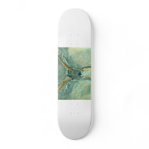 snow gazer skate boards
