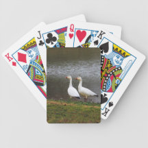 Snow Geese by the Pond Card Deck