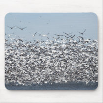 Snow Geese Flock Mousepad