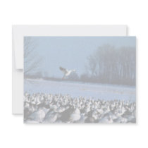 Snow Geese Personalized Announcements