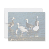 Snow Geese Personalized Invites