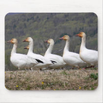 Snow Geese Mousepad by mlane53 Snow Geese Mousepad