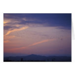Snow Geese over the Lake Champlain Valley cards