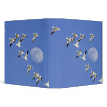 Snow geese take flight at Freezeout Lake NWR Binder