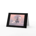 Snow Globe (Blank) cards