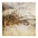 Snow Grass posters by OccasionalOasis Snow Grass posters