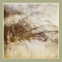 Snow Grass posters