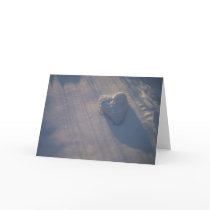 Snow Heart cards