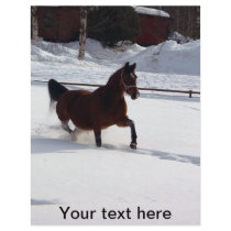 Snow Horse Personalized Letterhead