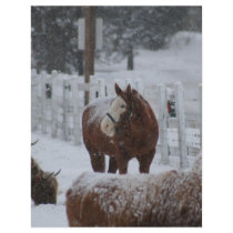 Snow Horse, Merry Christmas! flyers
