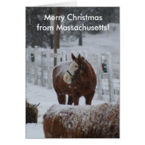 Snow Horse, Merry Christmas from Massachusetts! Greeting Card