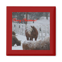 Snow horse, Merry Christmas! magnets