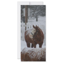 Snow Horse, Merry Christmas! rack cards