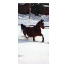 Snow Horse Photo Card Template