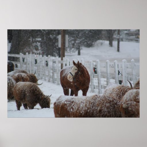Snow Horse Posters