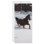 Snow Horse Full Color Rack Card
