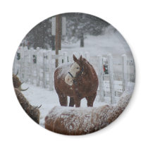 Snow Horse, Rosie's Mug magnets