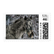 Snow Horse Stamp by skalahan Snow Horse Stamp
