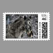 Snow Horse Stamp