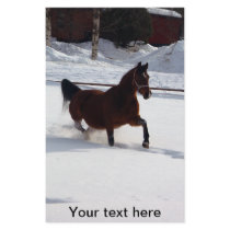 Snow Horse Stationery