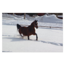 Snow Horse Stationery Paper