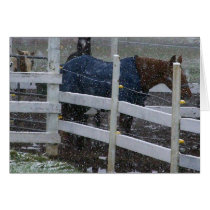 Snow Horses cards by BecauseofFear Snow Horses cards