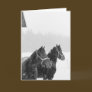 Snow Horses