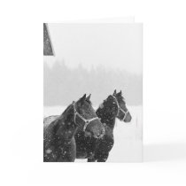 Snow Horses Greeting Card