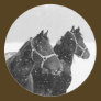 Snow Horses