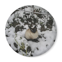 Snow Images, Snow Cat Refrigerator Magnet