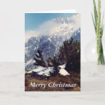 Snow in Alpine Mountain Christmas Card