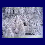 Snow In April Poster posters