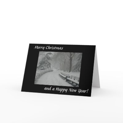 Snow in Central Park Greeting Card by giraffemoon