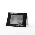 Snow in Central Park cards by giraffemoon Snow in Central Park cards