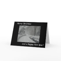 Snow in Central Park cards