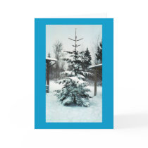Snow in Dec. cards by Emerald_Fyre Snow in Dec. cards