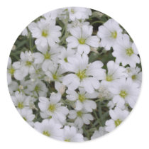 Snow In Summer Round Sticker