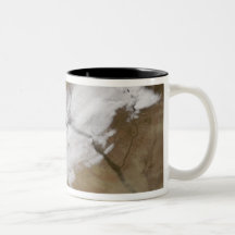 Snow in Syria Mug