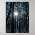 Snow in the Woods Print