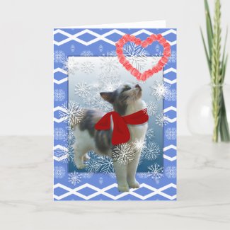 Snow kitty, Valentine card