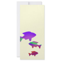 Snow Koi Rack Cards
