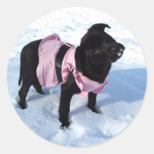 snow Labrador dog sticker