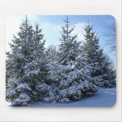 Snow Laden Evergreen Grouping Mousepads by mbgphoto