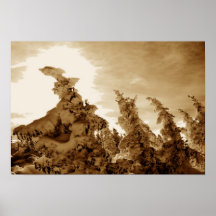 Snow laden trees posters