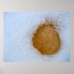 snow leaf poster