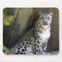 snow leopard 19 mouse pad