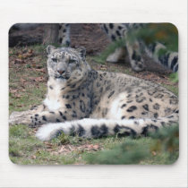 snow leopard 26 mouse pad