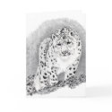 snow leopard cards by kmullarney snow leopard cards
