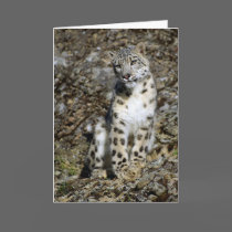 Snow Leopard - Christmas Card