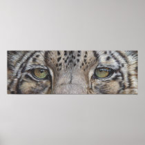 Snow Leopard Eyes Posters